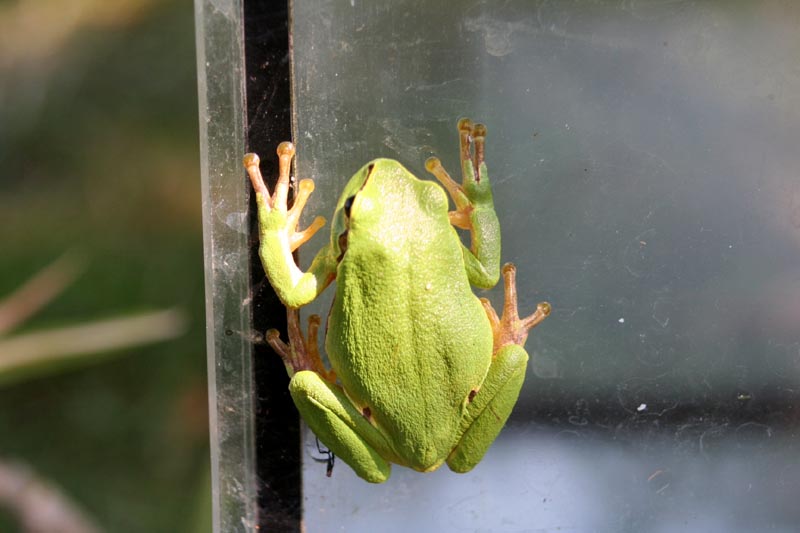 Killikus&reg; Fotographie